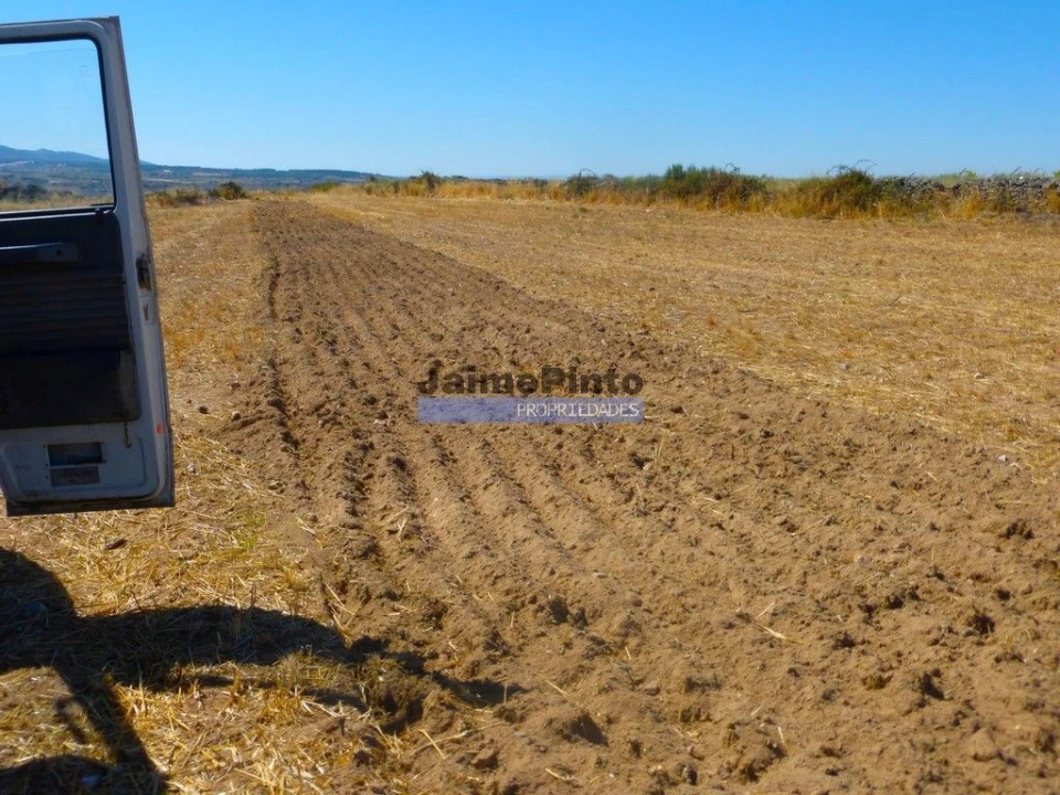 Terreno Agricola ou Rústico para Venda em Figueira de Castelo Rodrigo Foto 1