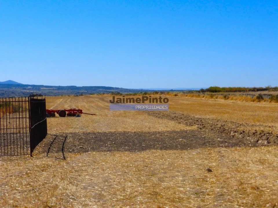 Terreno Agricola ou Rústico para Venda em Figueira de Castelo Rodrigo Foto 2