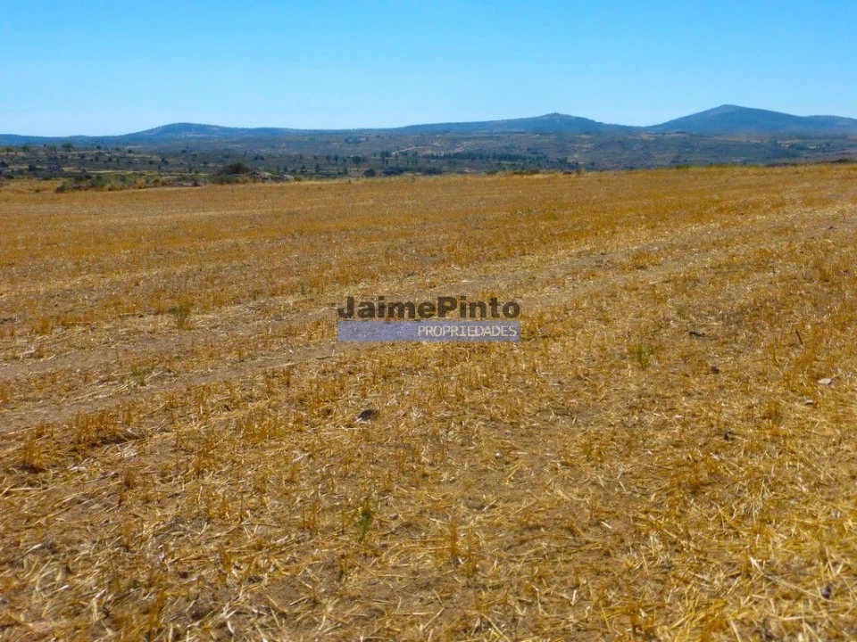 Terreno Agricola ou Rústico para Venda em Figueira de Castelo Rodrigo Foto 4