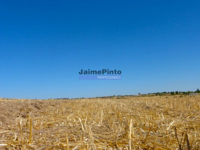 Terreno Agricola ou Rústico para Venda em Figueira de Castelo Rodrigo Foto 5