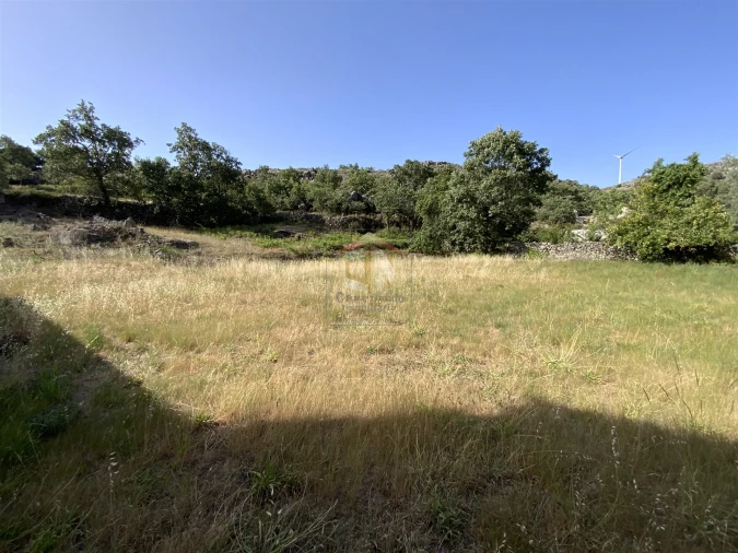 Moradia T1 para Venda em Pousafoles do Bispo, Pena Lobo e Lomba Foto 2
