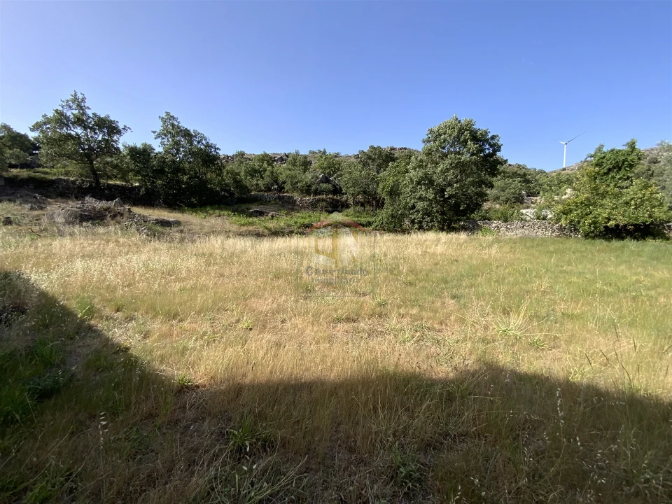 Moradia T1 para Venda em Pousafoles do Bispo, Pena Lobo e Lomba Foto 2