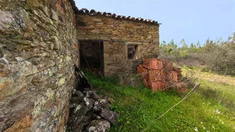 Quinta T0 para Venda em Sarzedas