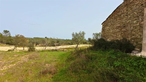 Quinta T0 para Venda em Sarzedas