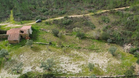 Quinta T0 para Venda em Sarzedas