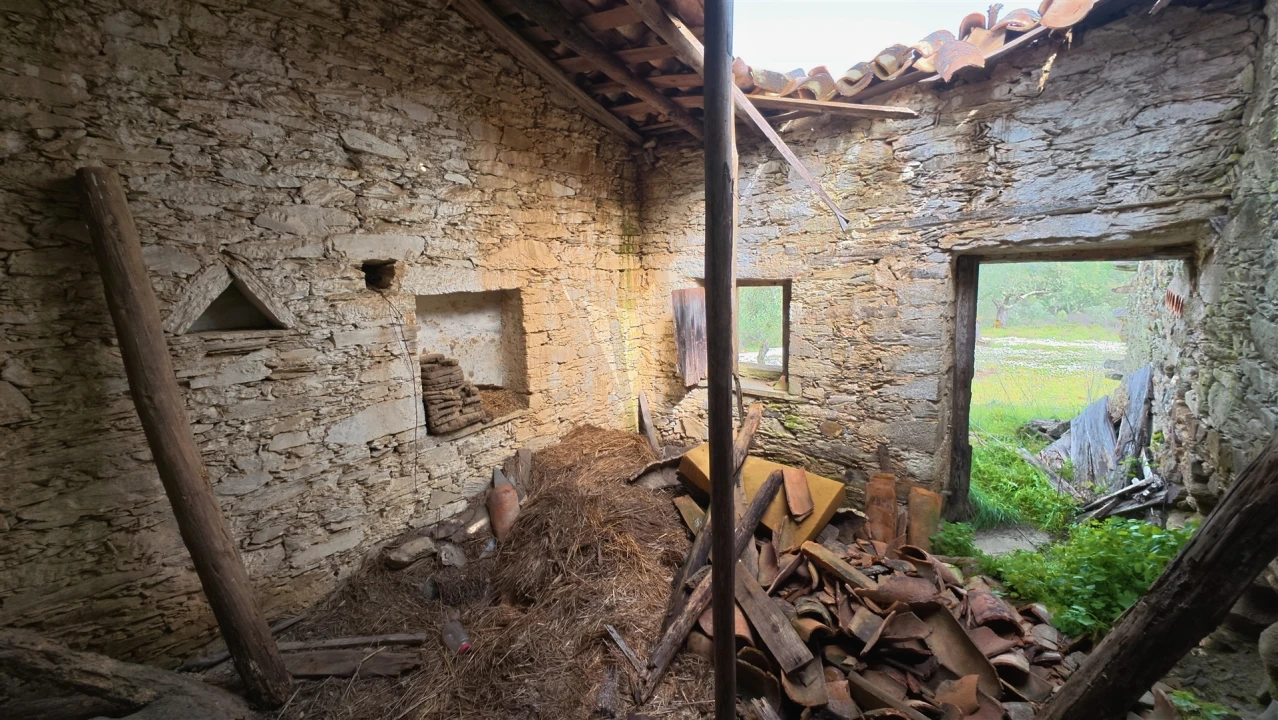 Quinta T0 para Venda em Sarzedas Foto 3