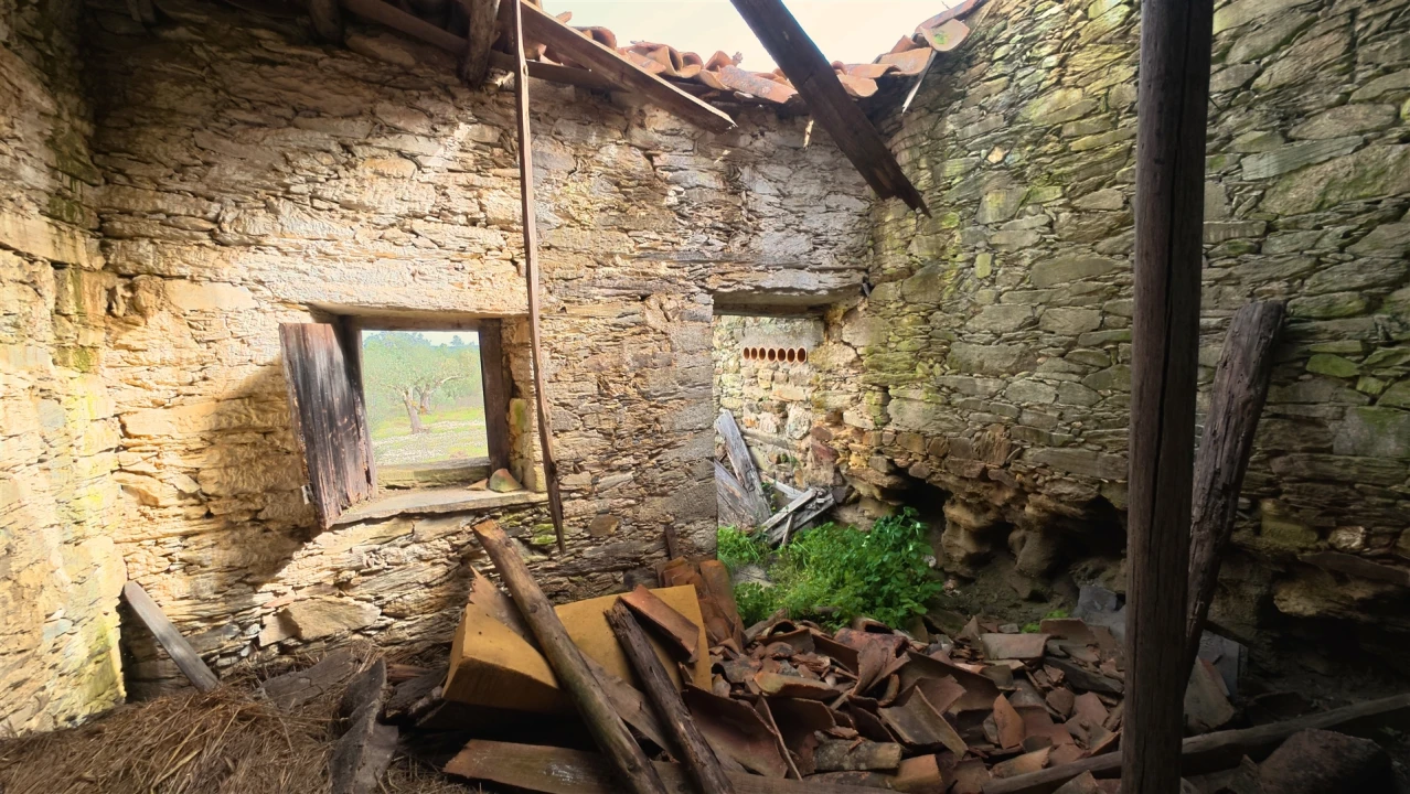 Quinta T0 para Venda em Sarzedas Foto 4