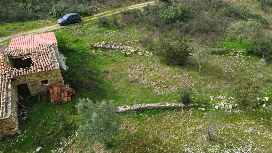 Quinta T0 para Venda em Sarzedas Foto 11