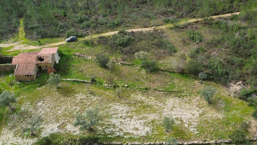 Quinta T0 para Venda em Sarzedas Foto 9
