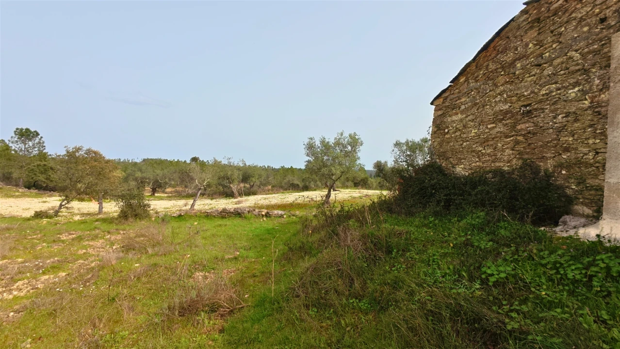 Quinta T0 para Venda em Sarzedas Foto 7