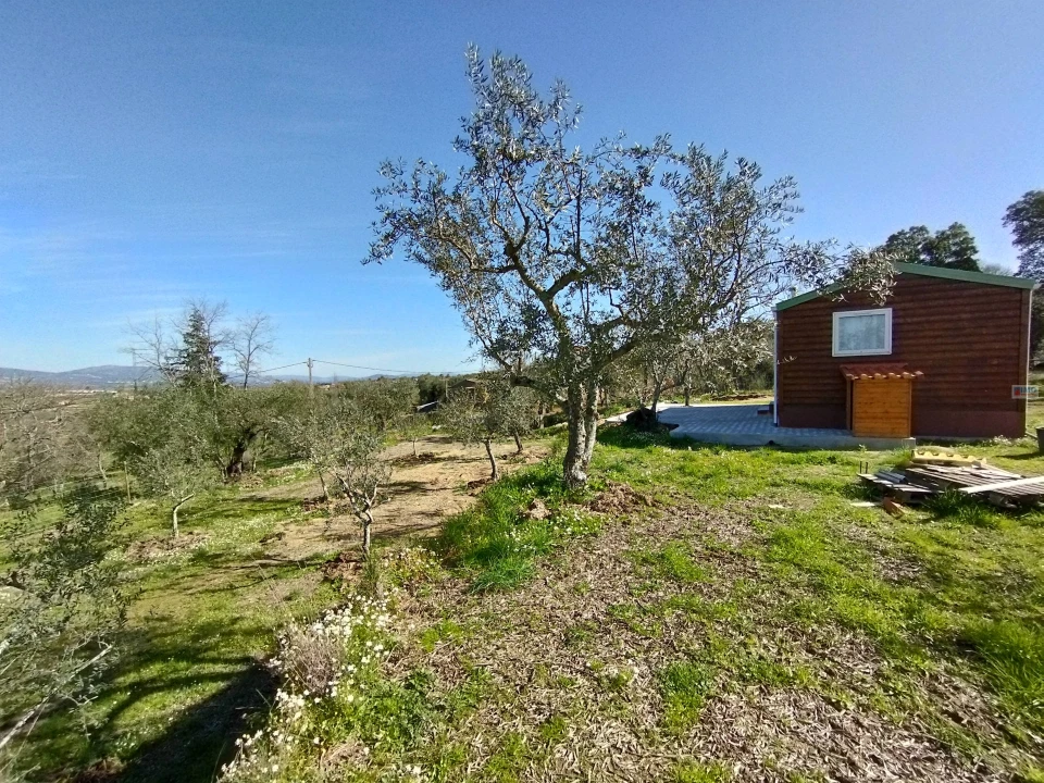 Terreno Agricola ou Rústico para Venda em Ferro Foto 8