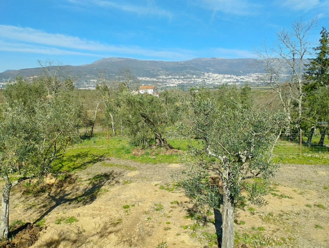 Terreno Agricola ou Rústico para Venda em Ferro Foto 12