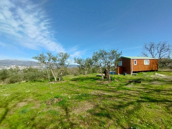 Terreno Agricola ou Rústico para Venda em Ferro Foto 7