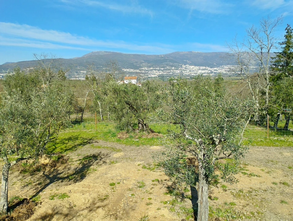 Terreno Agricola ou Rústico para Venda em Ferro Foto 12