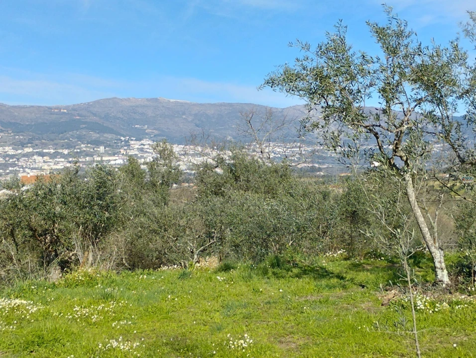 Terreno Agricola ou Rústico para Venda em Ferro Foto 10