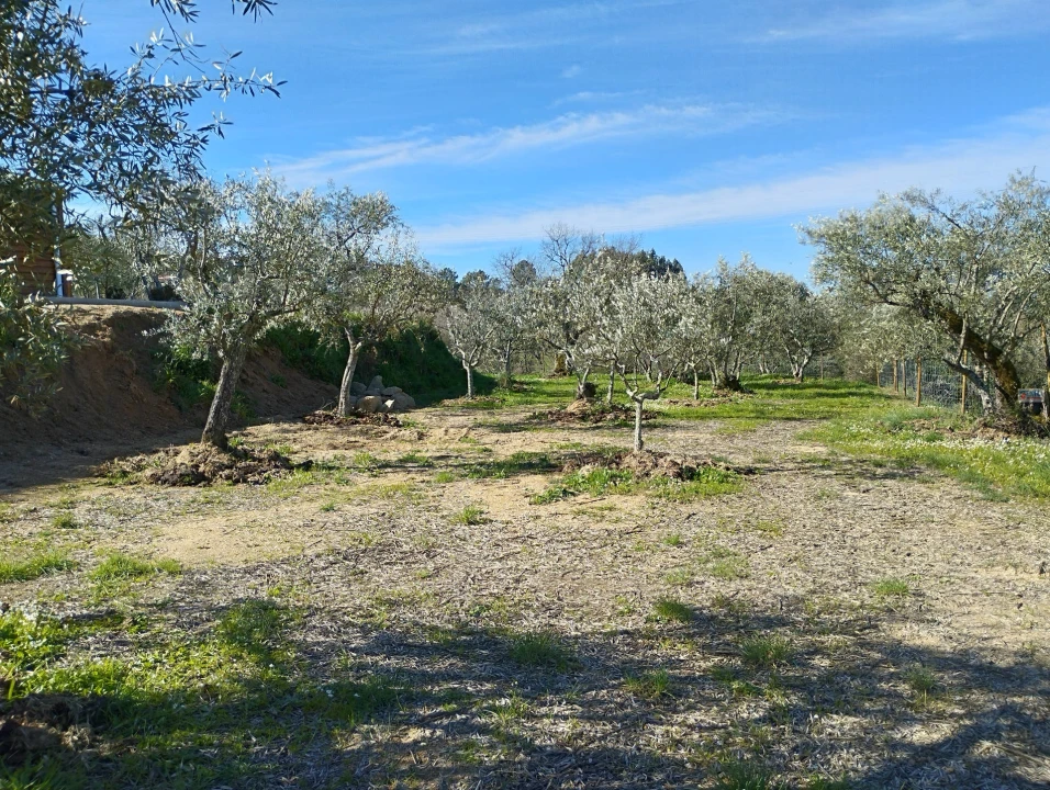 Terreno Agricola ou Rústico para Venda em Ferro Foto 11