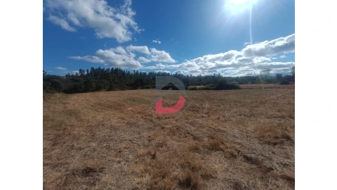 Quinta T0 para Venda em Salgueiro do Campo