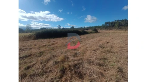 Quinta T0 para Venda em Salgueiro do Campo