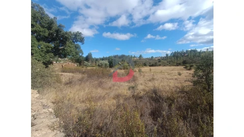 Quinta T0 para Venda em Salgueiro do Campo