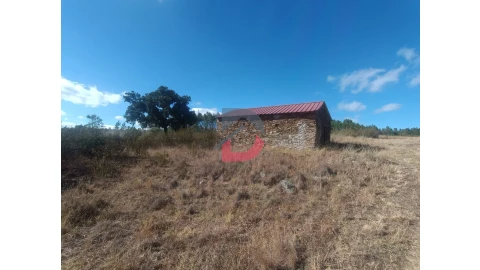 Quinta T0 para Venda em Salgueiro do Campo