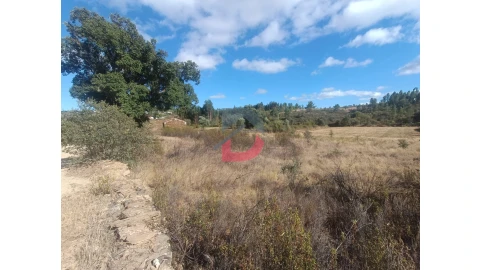 Quinta T0 para Venda em Salgueiro do Campo