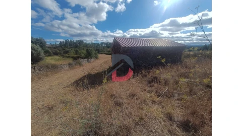 Quinta T0 para Venda em Salgueiro do Campo