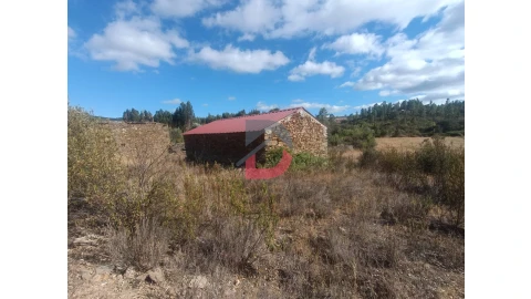 Quinta T0 para Venda em Salgueiro do Campo