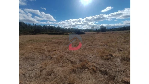 Quinta T0 para Venda em Salgueiro do Campo
