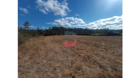 Quinta T0 para Venda em Salgueiro do Campo