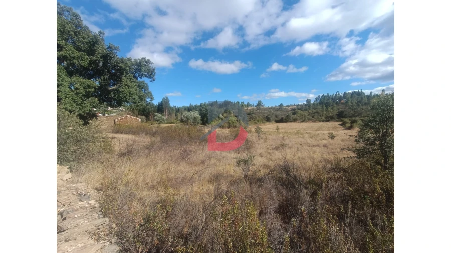 Quinta T0 para Venda em Salgueiro do Campo Foto 5