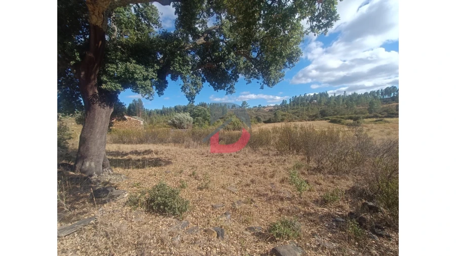Quinta T0 para Venda em Salgueiro do Campo Foto 3