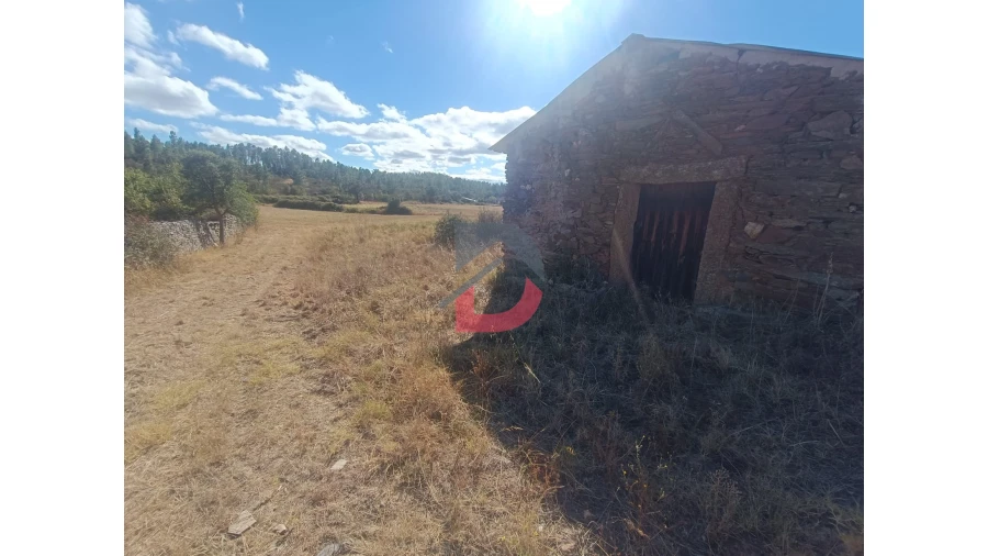 Quinta T0 para Venda em Salgueiro do Campo Foto 16