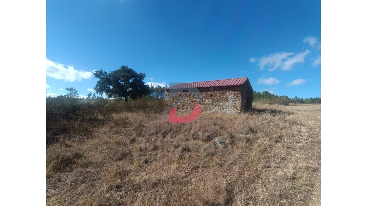 Quinta T0 para Venda em Salgueiro do Campo Foto 1