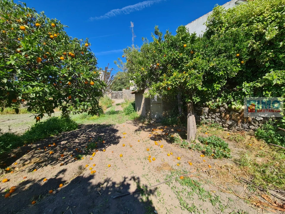 Quinta T0 para Venda em Escalos de Cima e Lousa Foto 5