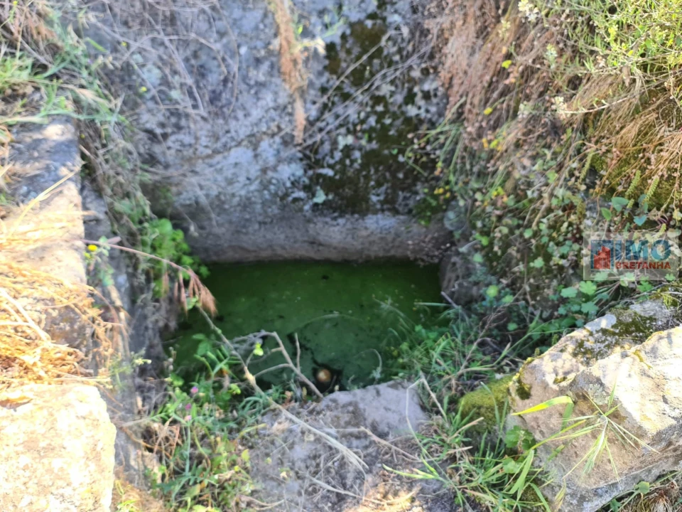 Quinta T0 para Venda em Escalos de Cima e Lousa Foto 8