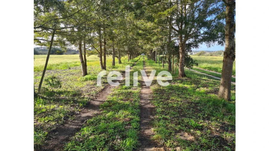 Quinta T4 para Venda em Santo Andre Foto 26