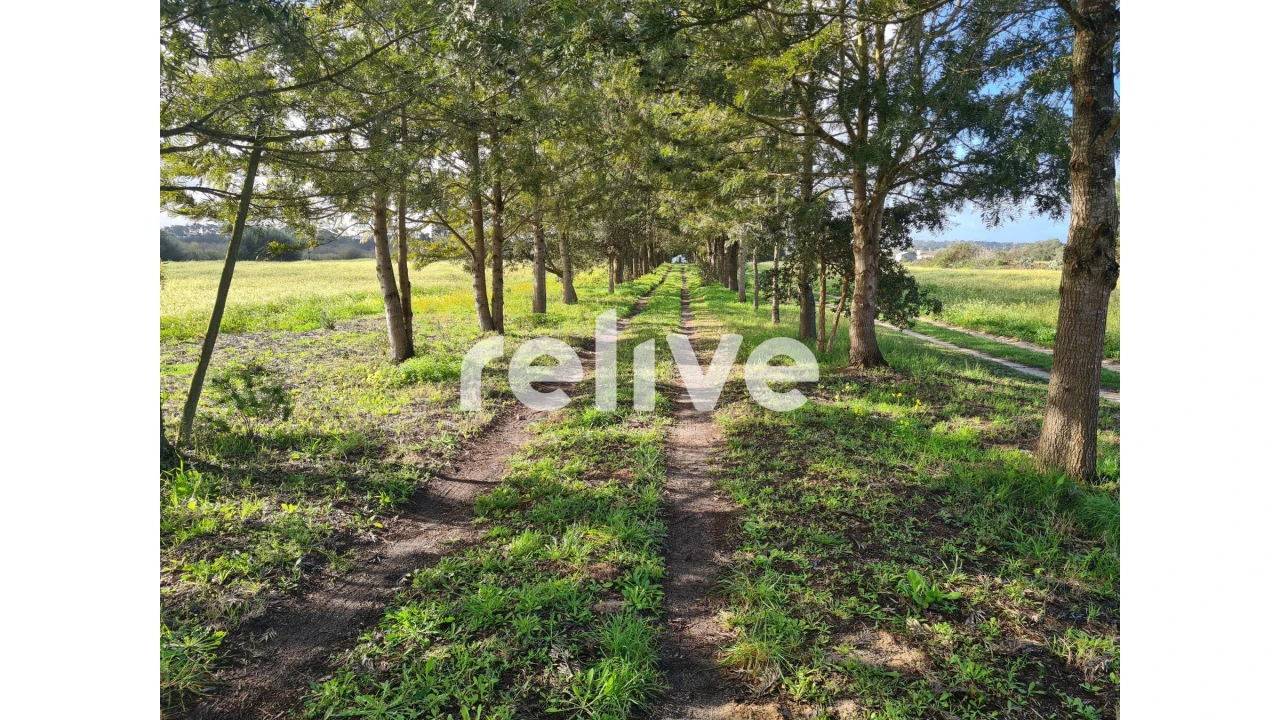 Quinta T4 para Venda em Santo Andre Foto 26