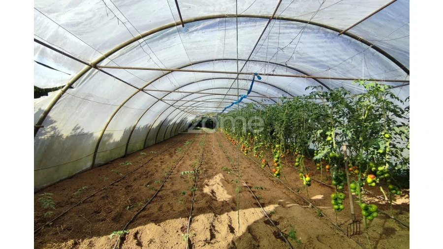 Moradia T3 para Venda em Lagoa (Santa Cruz) Foto 28