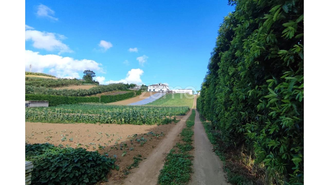 Moradia T3 para Venda em Lagoa (Santa Cruz) Foto 30