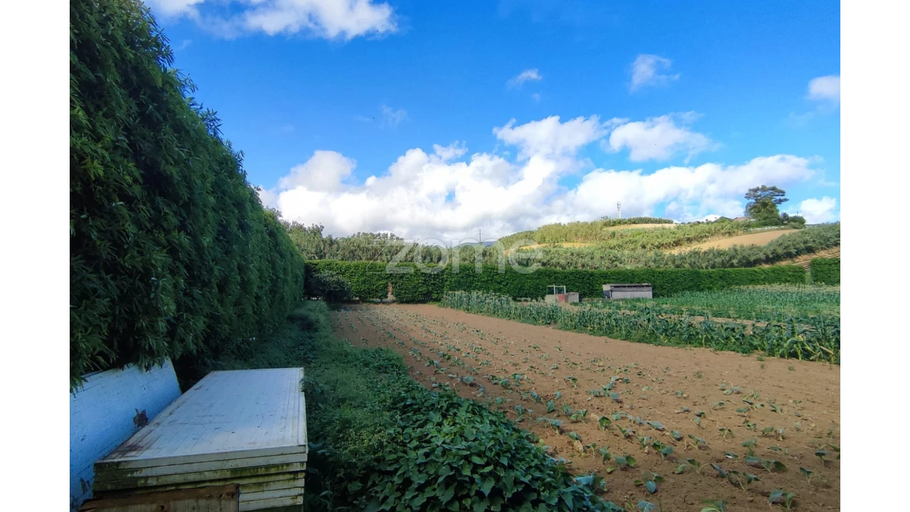 Moradia T3 para Venda em Lagoa (Santa Cruz) Foto 27