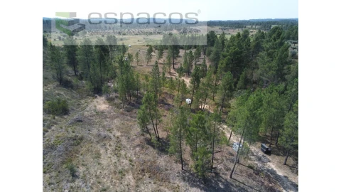 Quinta para Venda em Sarzedas