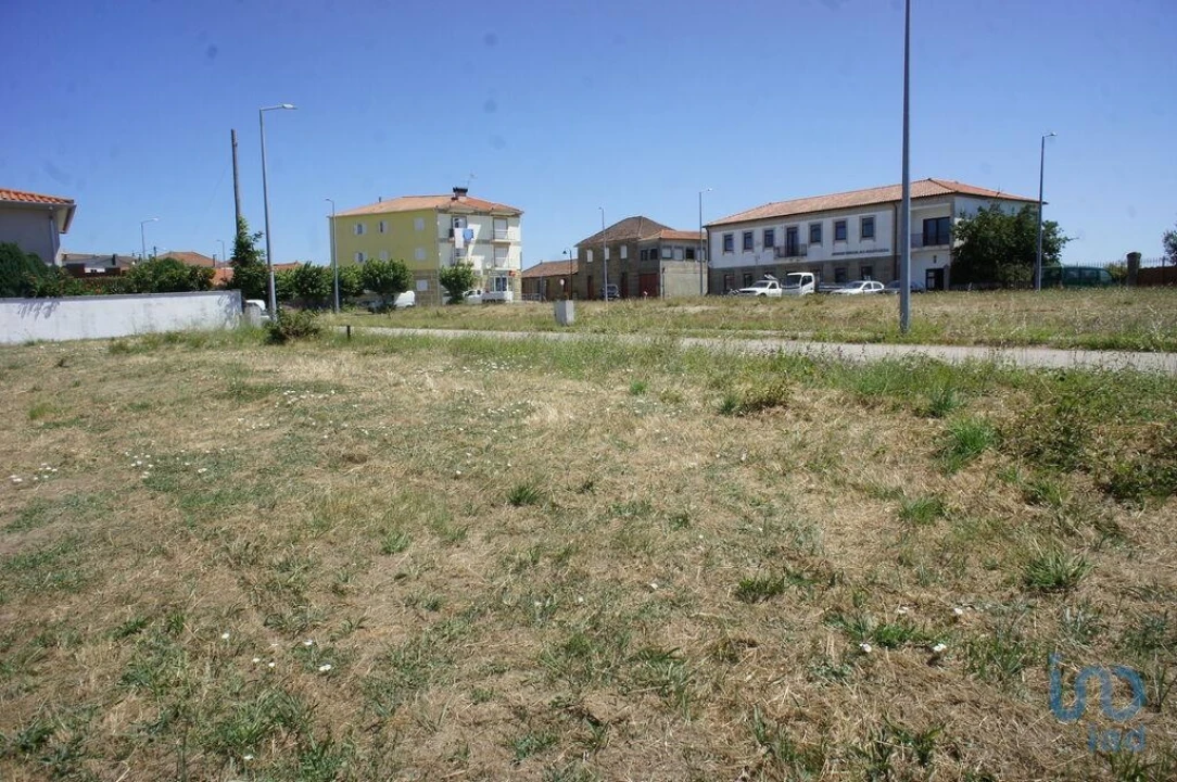 Terreno para Venda em Carrazedo de Montenegro e Curros Foto 8