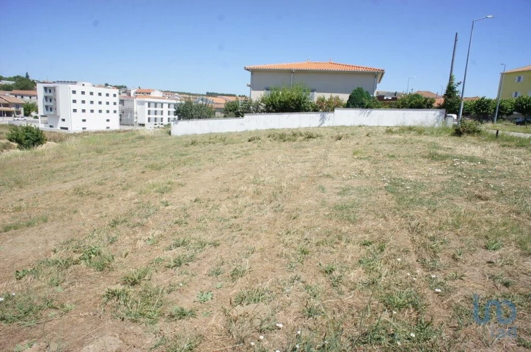 Terreno para Venda em Carrazedo de Montenegro e Curros Foto 7