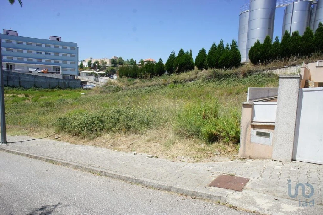 Terreno para Venda em Murça Foto 5