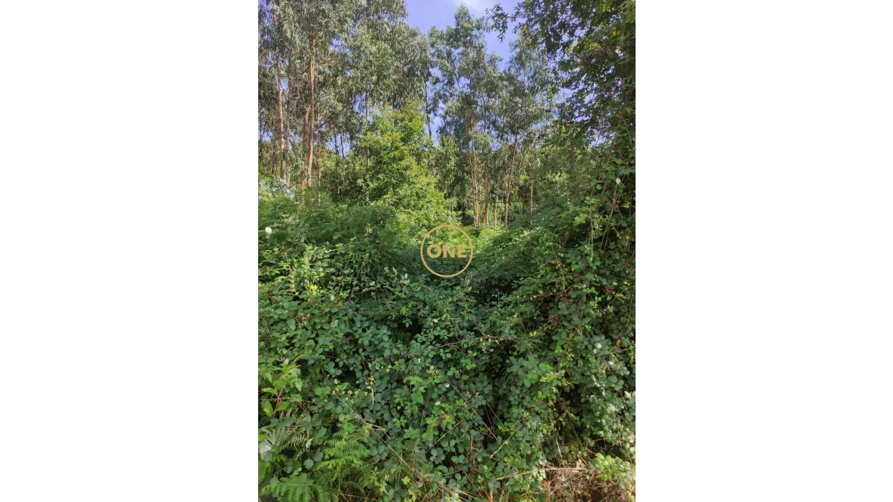 Terreno para Venda em Brufe Foto 5