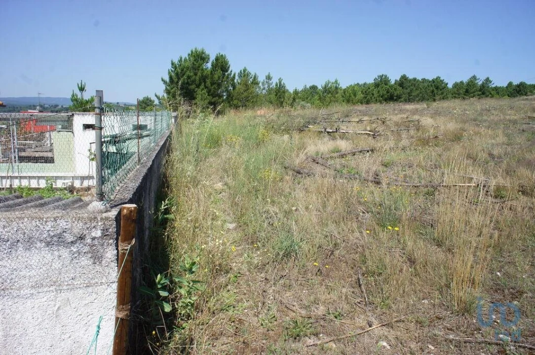 Terreno para Venda em Vale de Anta Foto 6