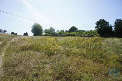 Terreno para Venda em Santa Maria Maior