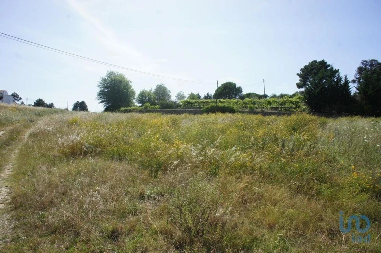 Terreno para Venda em Santa Maria Maior Foto 12