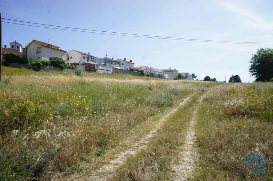 Terreno para Venda em Santa Maria Maior Foto 11