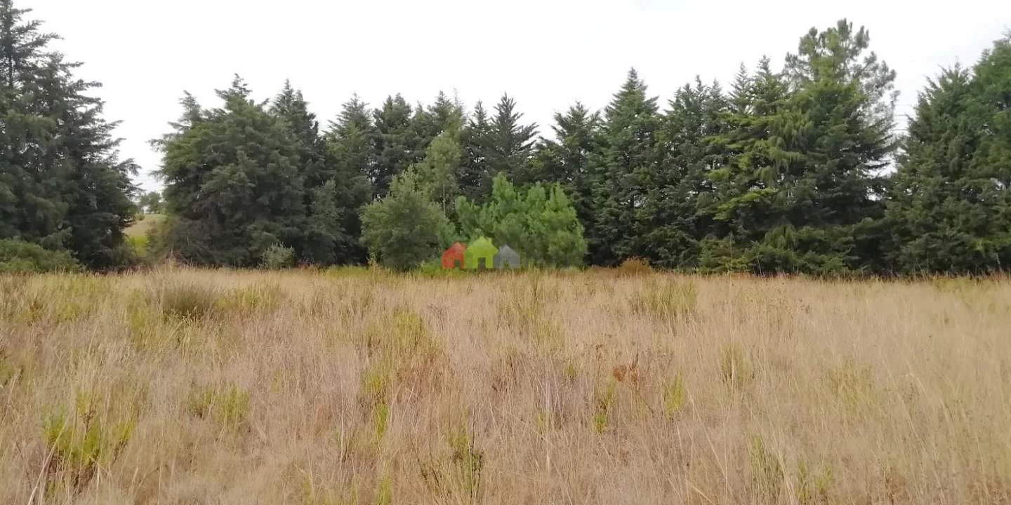 Terreno para Venda em Poceirão e Marateca Foto 24